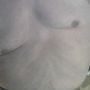 Doudou H