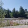 Stefnat73