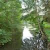 Randonnée en forêt de 8 à 10 kms (91)