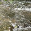 Rand’eau et goûter le long de la Renarde (91)