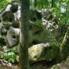 Randonnée au sud de Bouray sur Juine Essonne (91)