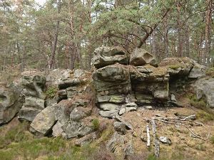 Rando &amp;amp; pique-nique en Forêt de Fontainebleau (77)