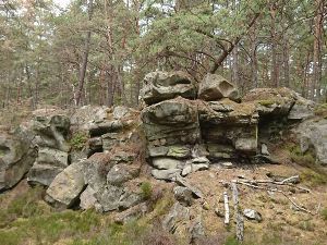  	Rando &amp; pique-nique en Forêt de Fontainebleau (77)