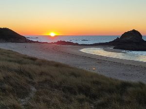 Plage La Guimorais (35)