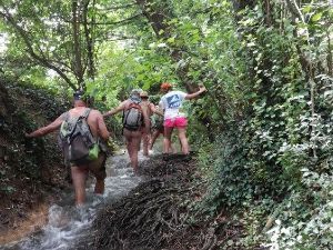 Rand'eau et goûter le long de la Renarde (91)