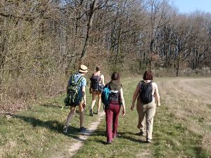 Rando cueillette autour de Souzy la Briche (91)