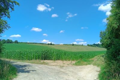 Rando nue dans le Ternois (62)