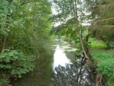 Randonnée en forêt de 8 à 10 kms (91)