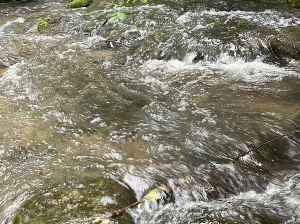 Rand’eau et goûter le long de la Renarde (91)
