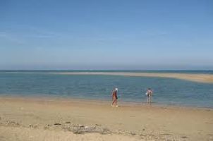 AM Plage naturiste @Merville-Franceville (14)
