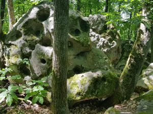 Randonnée au sud de Bouray sur Juine Essonne (91)