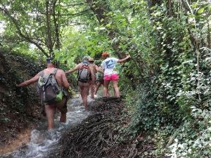 Rand’eau le long de la Renarde en Essonne (91)