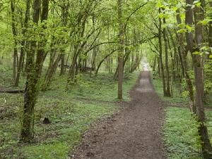 Rando Vexin 8km (95)