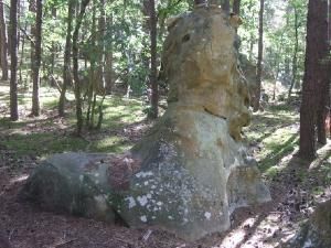 Carrière, piquenique et randonnée en Essonne (91)