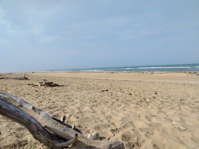 Plage de Saint Trojan