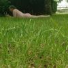Groupe naturiste 53 72 61 49