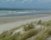 Plage de Quend Marquenterre les bouchots (80)