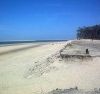 Plage naturiste de la Lagune (33)