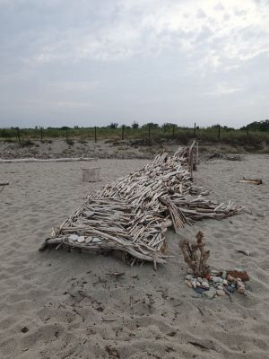 Bon,je vais essayer de relancer ce groupe. Je vais depuis des années (40)sur la plage du Bocal du Tech. En allant en tant qu'homme seul, je vais au bout de la plage, côté non surveillé alors. Quand quelqu'un me regarde, je lui dis bonjour, moindre des politesses, dirait-on... Toujours très étonné de, ou de ne pas avoir de réponse avec détournement de tête, ou un regard insistant sans un mot... Est-ce normal sur une plage naturistes quand on se regarde de ne pas avoir une échange en paroles, bonjour, bonne journée/soirée, bonne plage.... etc. Qu'en pensez-vous?